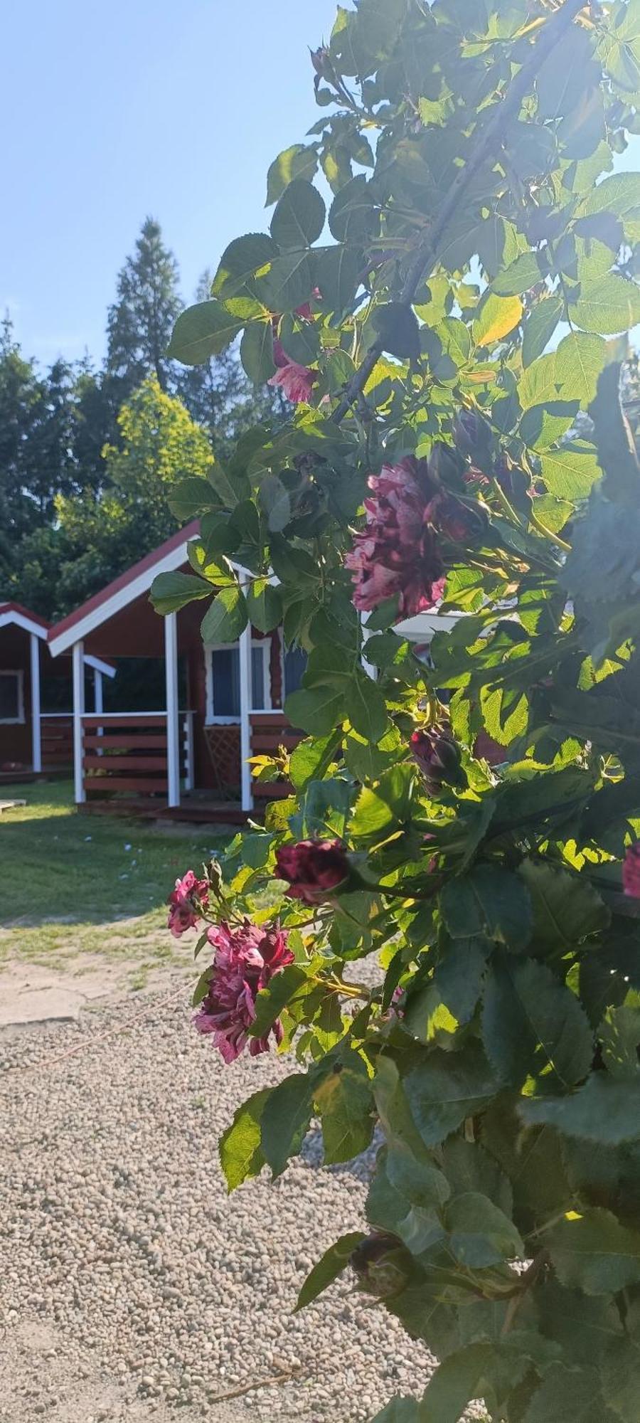 Na Zaciszu Villa Dziwnówek Eksteriør billede